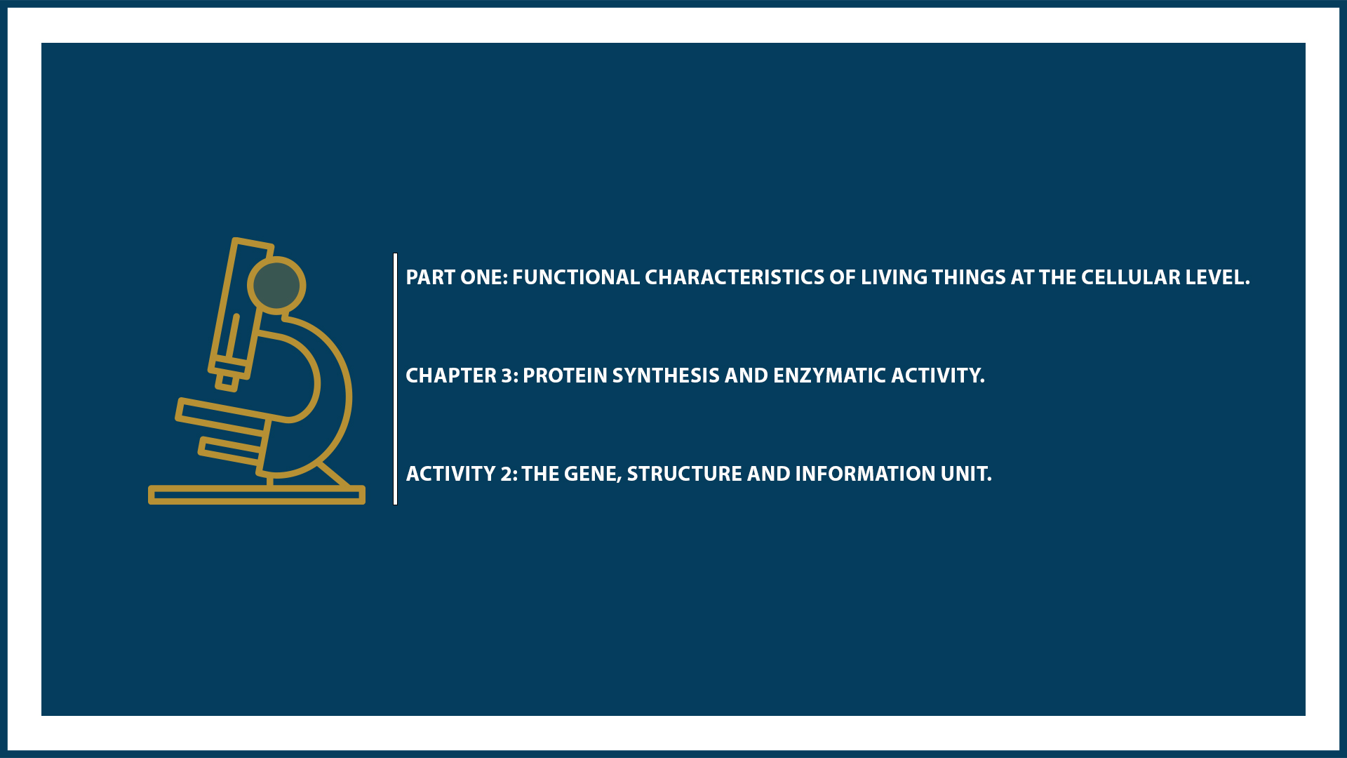Chapter 3: Protein Synthesis - Activity 2: The Gene, structure and information unit